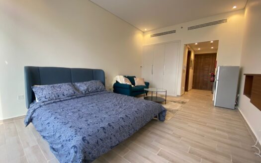 Furnished Studio | Rented | 1 Car Park