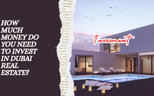How Much Money Do You Need to Invest in Dubai Real Estate